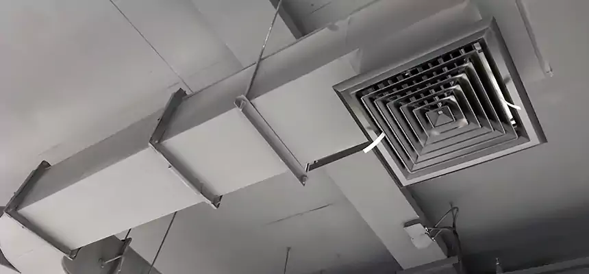 Restorative Allergy Relief Vent Cleaning – Coil, Blower & Housing Detail in Beverly Hills