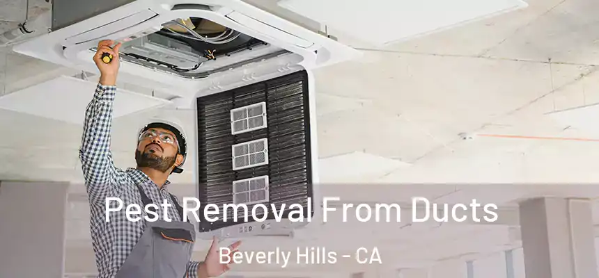 Pest Removal From Ducts Beverly Hills - CA