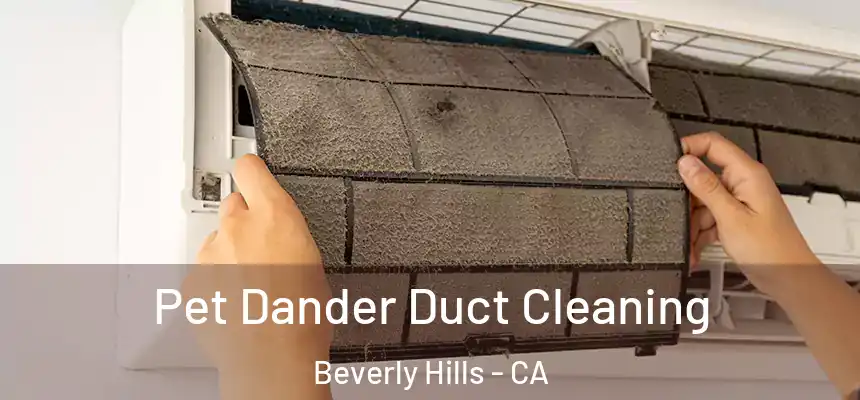  Pet Dander Duct Cleaning Beverly Hills - CA