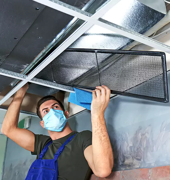 About Air Duct Bacteria Removal in Beverly Hills