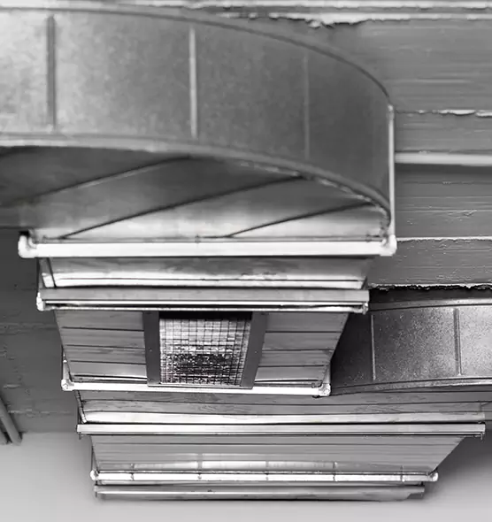 Professional Air Duct Pest Removal in Beverly Hills, CA