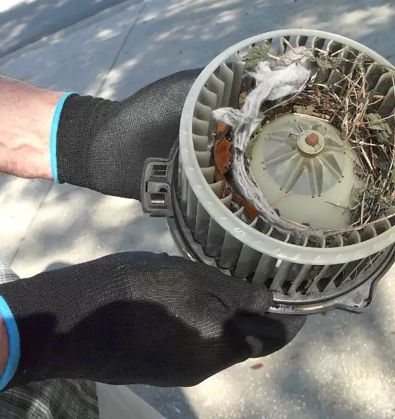 About Air Duct Rat Removal in Beverly Hills, CA