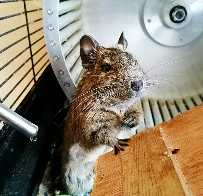 Why Homeowners & Businesses Trust Us Beverly Hills, CA?