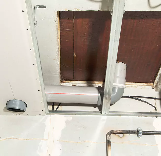 Why Homeowners & Businesses Trust Us in Beverly Hills, CA?