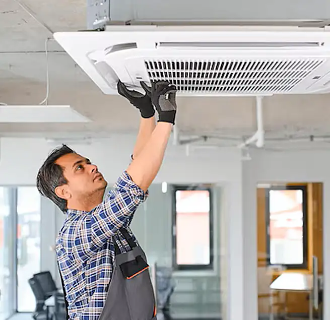 Why Homeowners & Businesses Trust Us in Beverly Hills, CA?