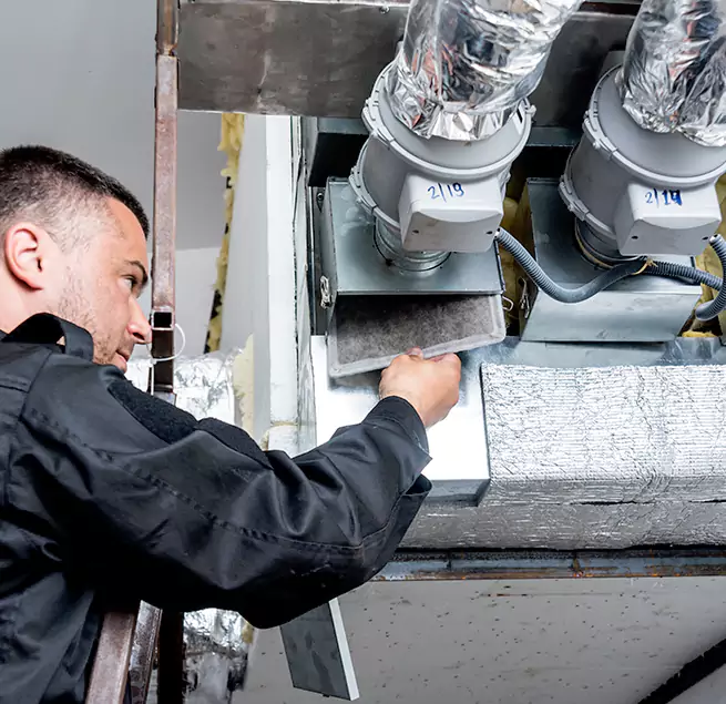 Why Homeowners & Businesses Trust Us in Beverly Hills, CA?