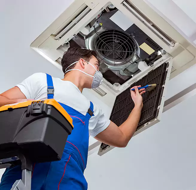 Why Homeowners & Businesses Trust Us in Beverly Hills, CA