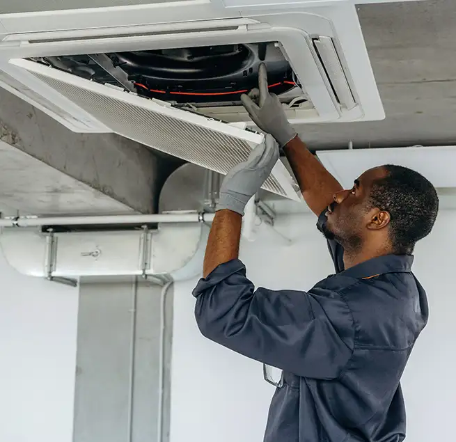 Why Homeowners & Businesses Trust Us in Beverly Hills, CA?