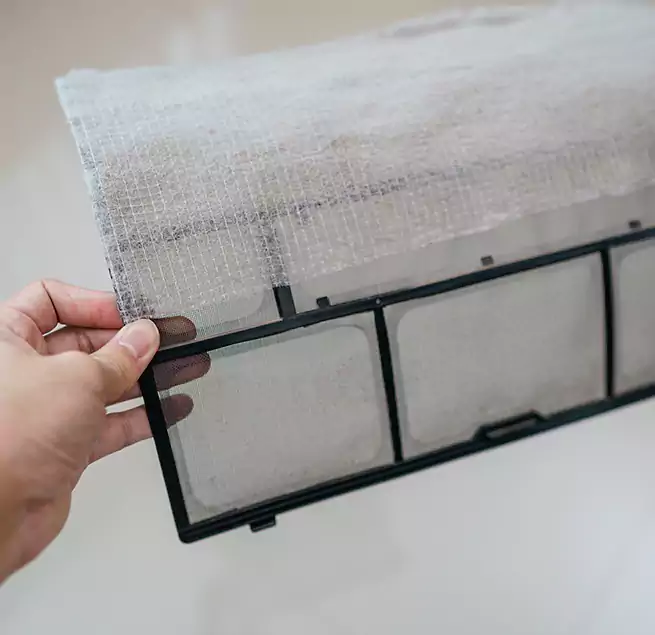 Why Homeowners & Businesses Trust Us in Beverly Hills, CA?