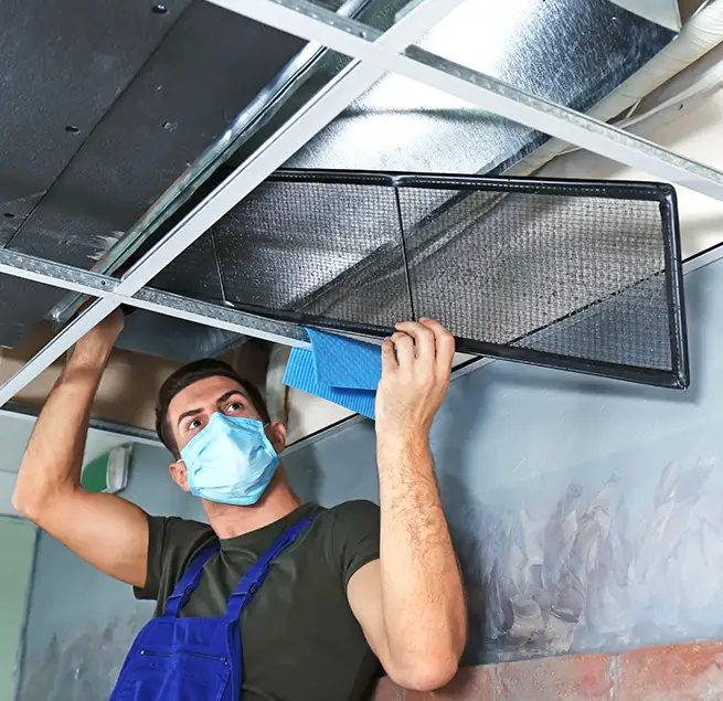 Why Homeowners & Businesses Trust Us in Beverly Hills, CA?