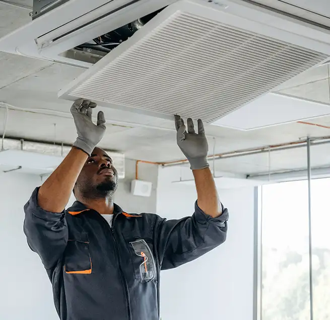 Why Homeowners & Businesses Trust Us in Beverly Hills, CA?