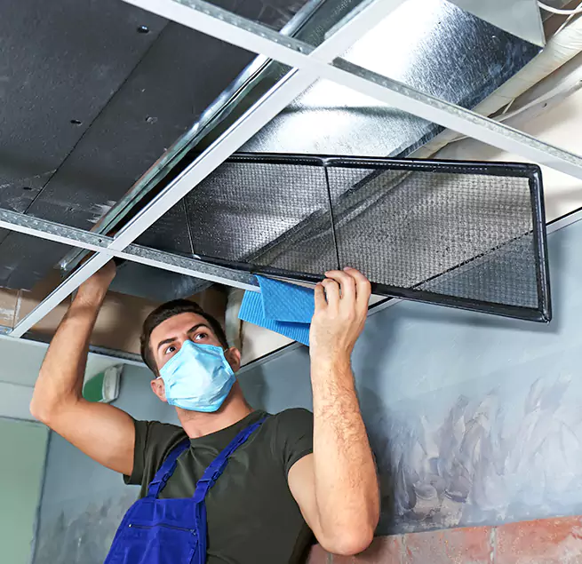 Why Homeowners Businesses Trust Us in Beverly Hills, CA?